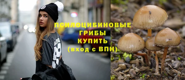 прущий лед Балахна