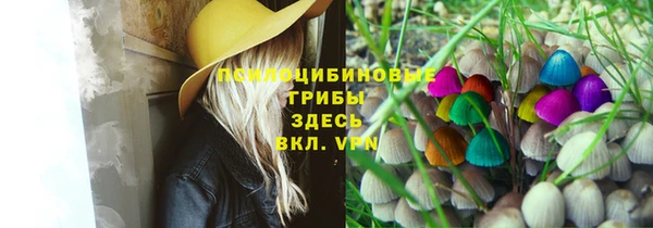 PSILOCYBIN Балабаново