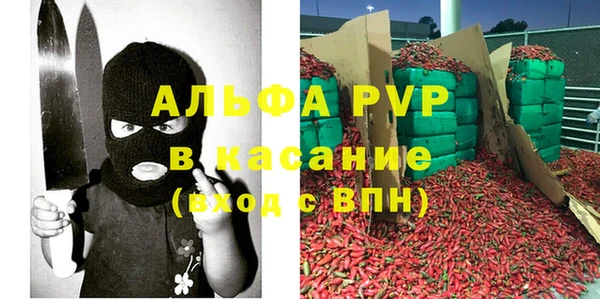 PSILOCYBIN Балабаново