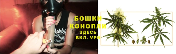 PSILOCYBIN Балабаново