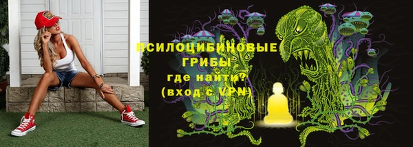 PSILOCYBIN Балабаново