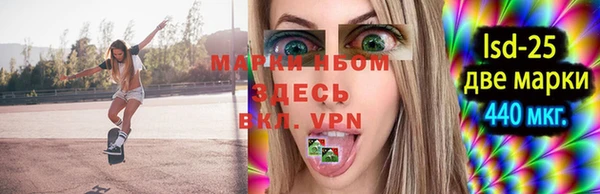 PSILOCYBIN Балабаново