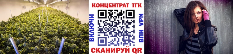 купить наркоту  hydra ссылка  ТГК THC oil  Великие Луки 