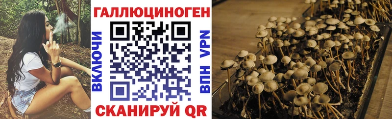 Галлюциногенные грибы Magic Shrooms Великие Луки